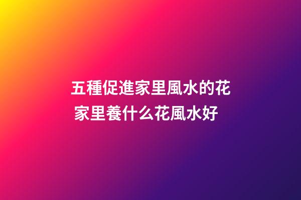五種促進家里風水的花 家里養什么花風水好